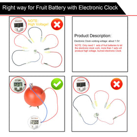 EUDAX RGB LEDs and clock powering from fruit-based circuit