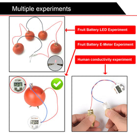 EUDAX wires with clips enabling quick fruit-powered circuit assembly