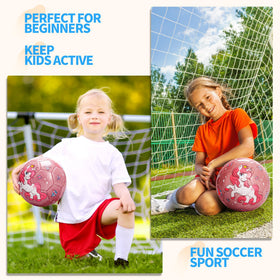 Everich Toy indoor outdoor play ball ready for practice or park