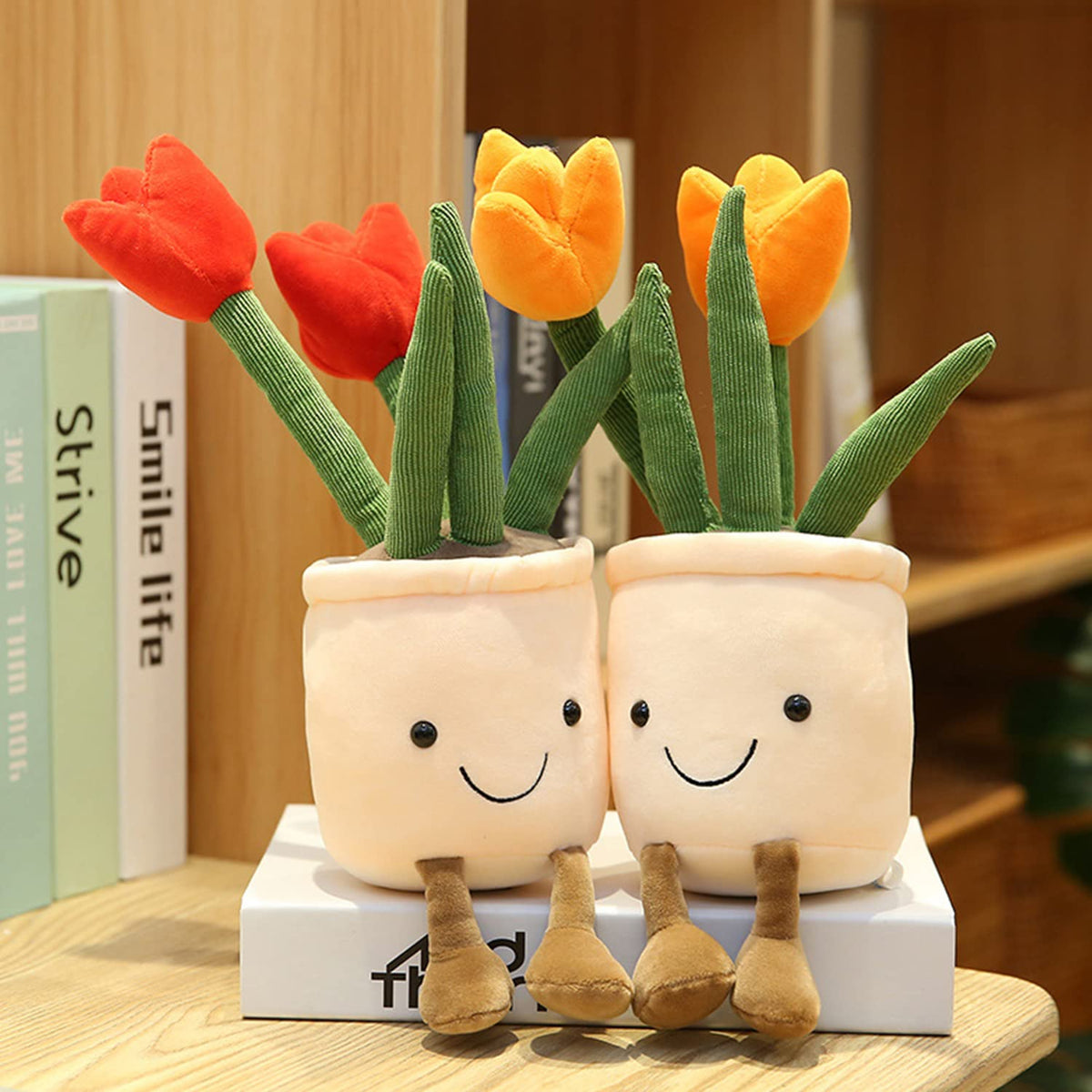 Evlooe potted plush succulent plant—soft accent for desks or shelves