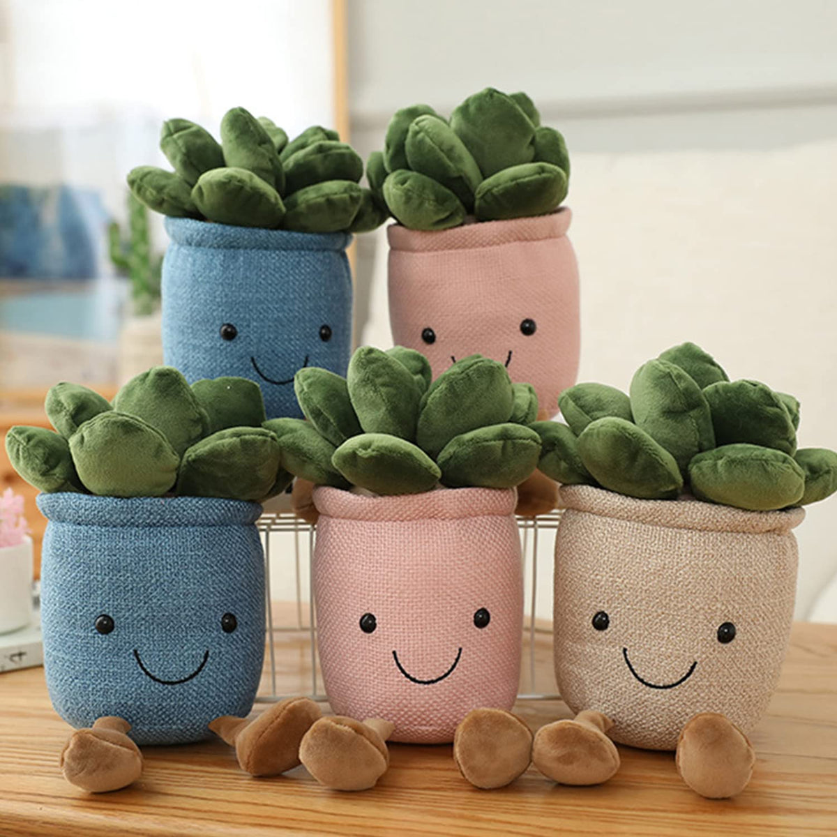Evlooe succulent plush toy with gift-ready packaging, perfect for celebrations.