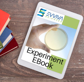 Evviva Experiment Ebook cover featuring guides for student projects.