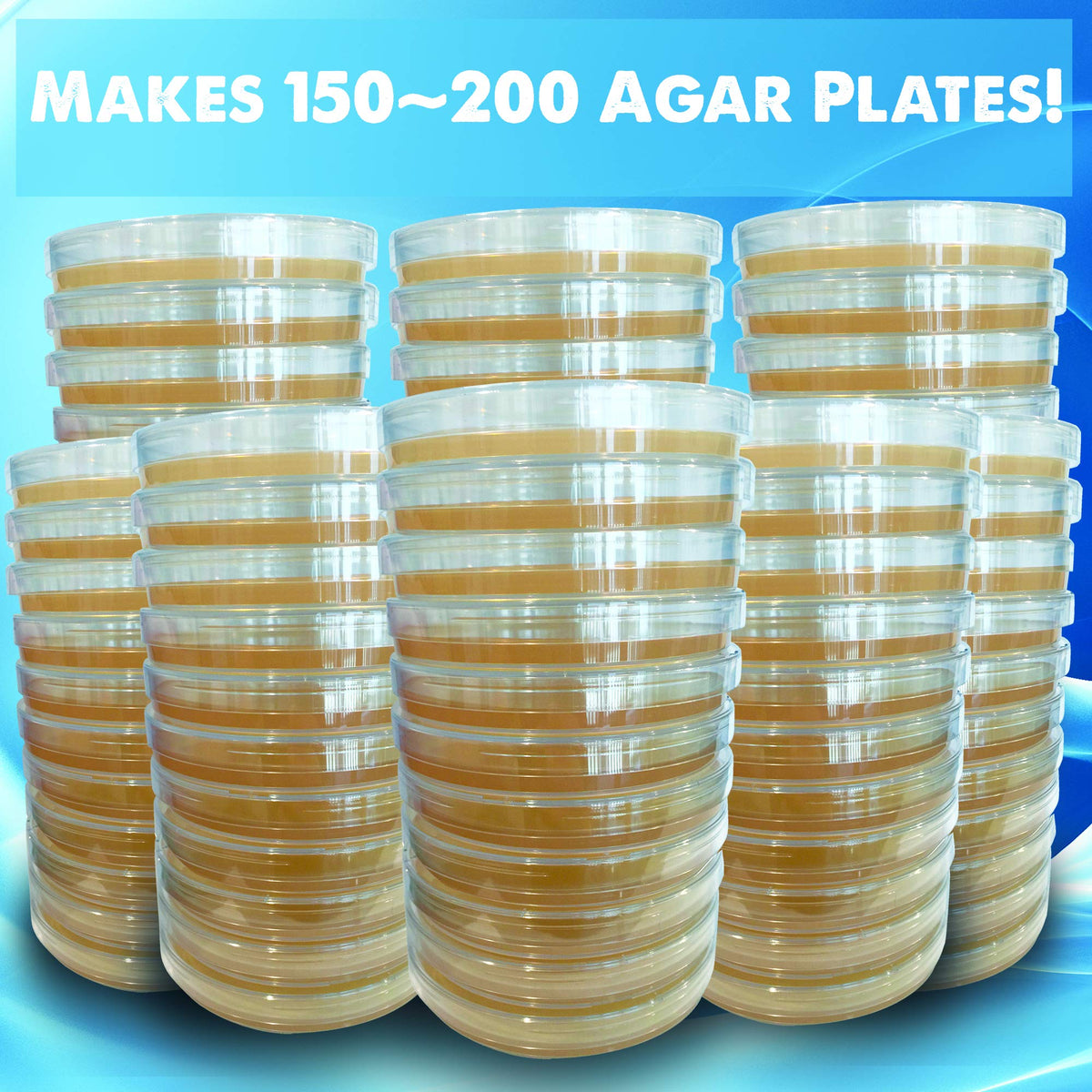Evviva Nutrient Agar petri dishes pour showing DIY plate pouring for experiments.