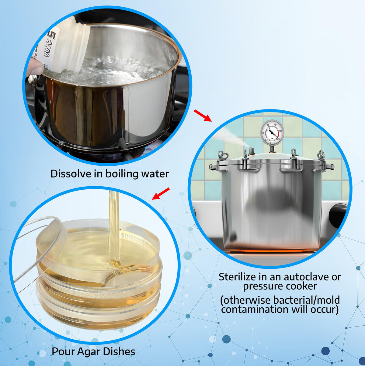 Evviva Nutrient Agar powder measurement illustrating easy preparation for labs.