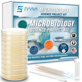 Evviva Sciences kit showing 10 pre-poured plates ready for classroom experiments.