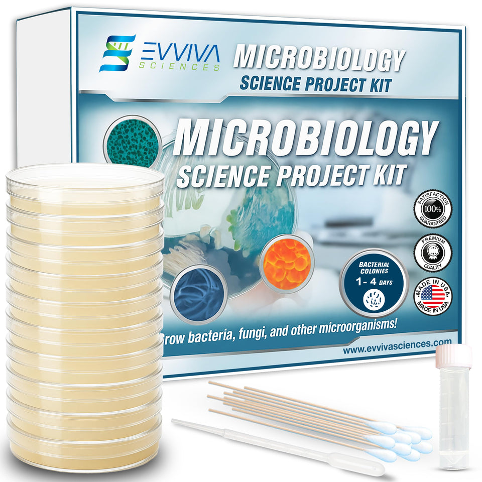 Evviva Sciences kit showing 10 pre-poured plates ready for classroom experiments.