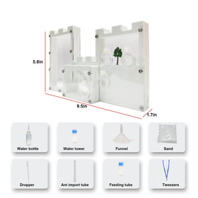 EXBEPE included accessories set supports hands-on ant learning.