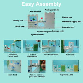 EXBEPE educational science kit for kids sparks curiosity in biology.