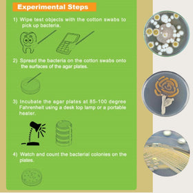 Fresh LB-agar plate surface supports clear demonstrations