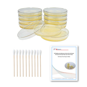 EZ BioResearch prepoured LB-agar plates ready for classroom experiments