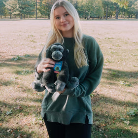 Fahlo educational experience highlights animal journeys and habitats.