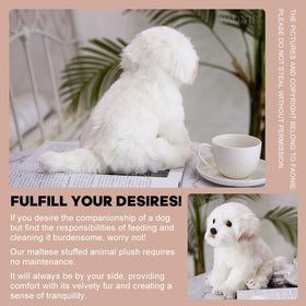 FAONIE Maltese plush gift-ready packaging suggests a thoughtful present