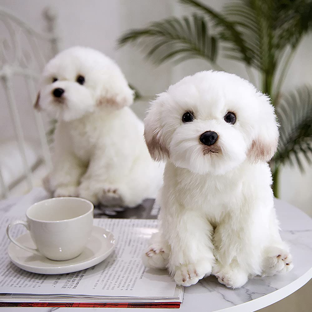 FAONIE Maltese plush size dimensions help gauge fit for decor or gift