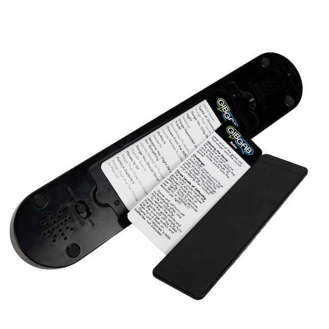 Fat Brain Toys GibGab category choice and word input fuel tense rounds.