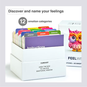 FeelWise micro-mindfulness techniques card set for calm emotion processing