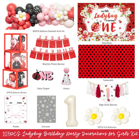 Fiesec Ladybug balloon garland arch enhances festive ambience and photos.