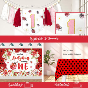 Fiesec Ladybug monthly photo banner chronicles milestones in color.