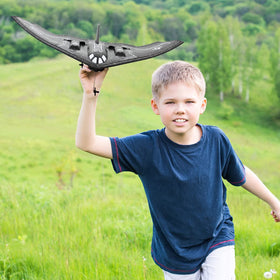 Fisca B-2 Spirit bomber battery pack; two 150mAh cells extend playtime.