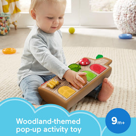 Fisher-Price Hide & Peek Pop-Up squeaking mouse adds playful sound cues for cause and effect.