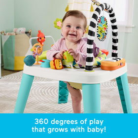 Fisher-Price Purple Monkey light-up piano invites music exploration and visual tracking for infants.
