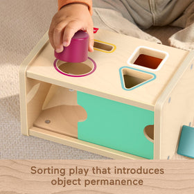 Fisher-Price Wood Montessori Side Door Peekaboo reveals hidden shapes for object permanence play.
