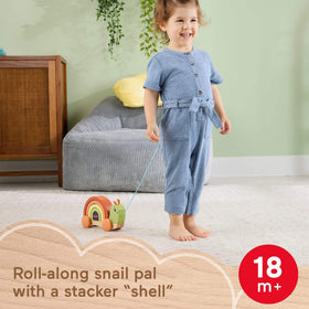 Fisher-Price wood snail arches colors encourage stacking and problem solving