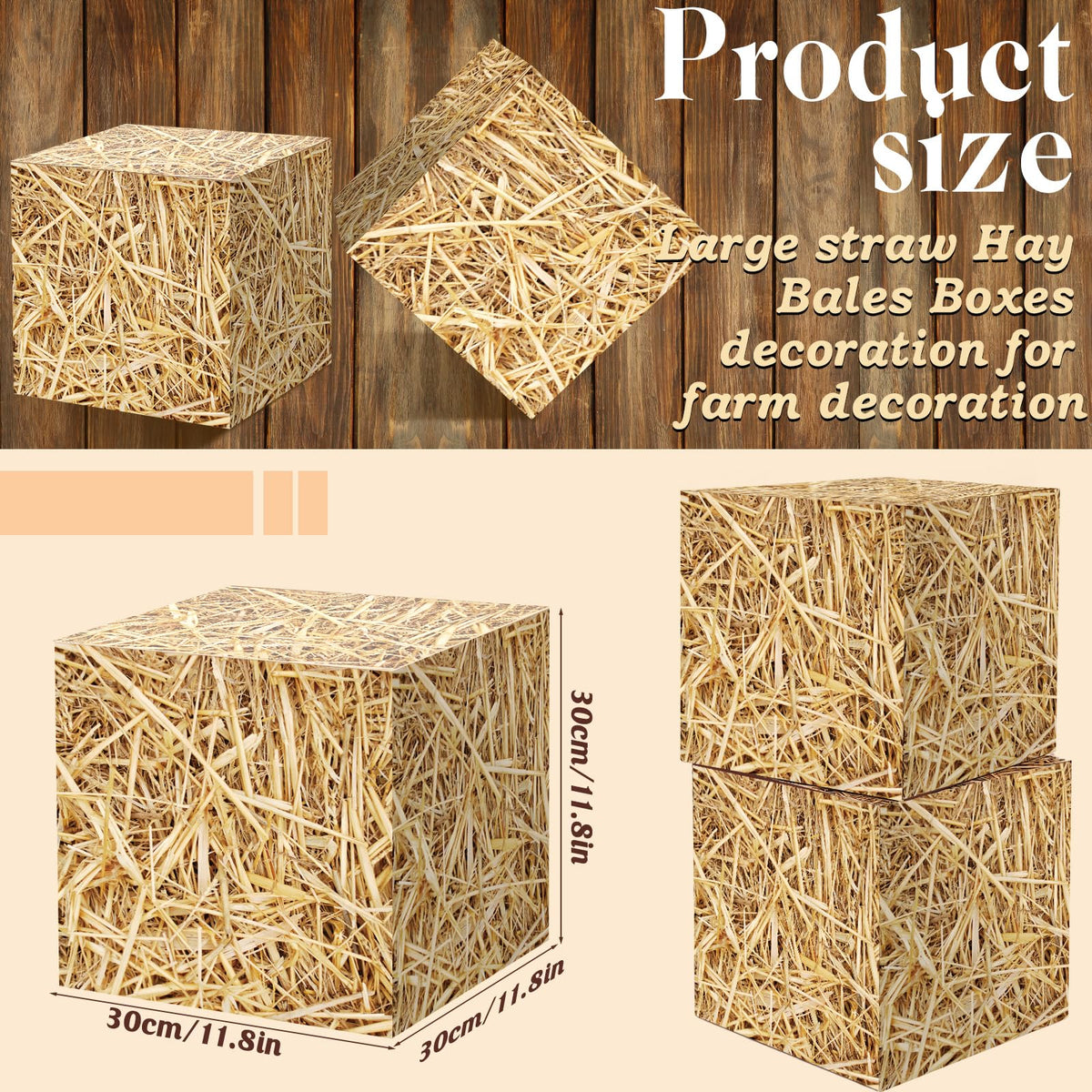 Fjoron Western theme decor boxes elevate photo booth props.