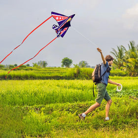 Flying Hoofer all-ages stability for breeze-kissed beaches and parks.