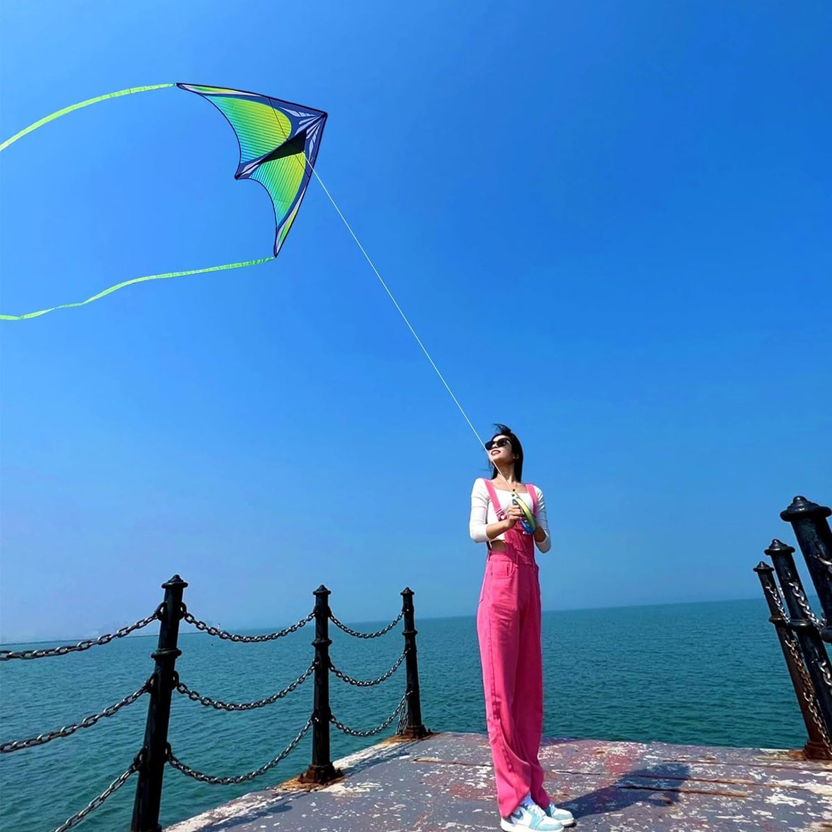 Flying Hoofer beginner-friendly kite with simple controls suits kids and adults.