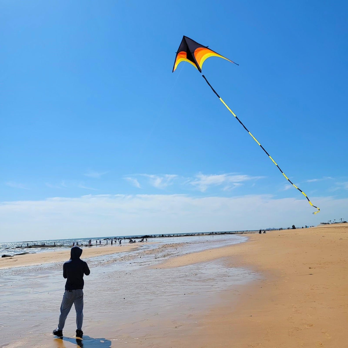 Flying Hoofer 9ft delta kite with 98ft tail for dramatic visibility.