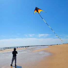 Flying Hoofer 9ft delta kite with 98ft tail for dramatic visibility.