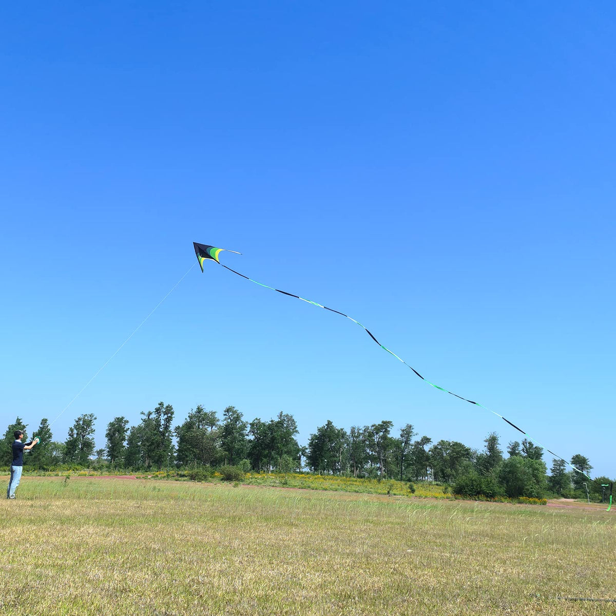 Flying Hoofer tear-resistant fabric enhances long-lasting outdoor kite sessions.