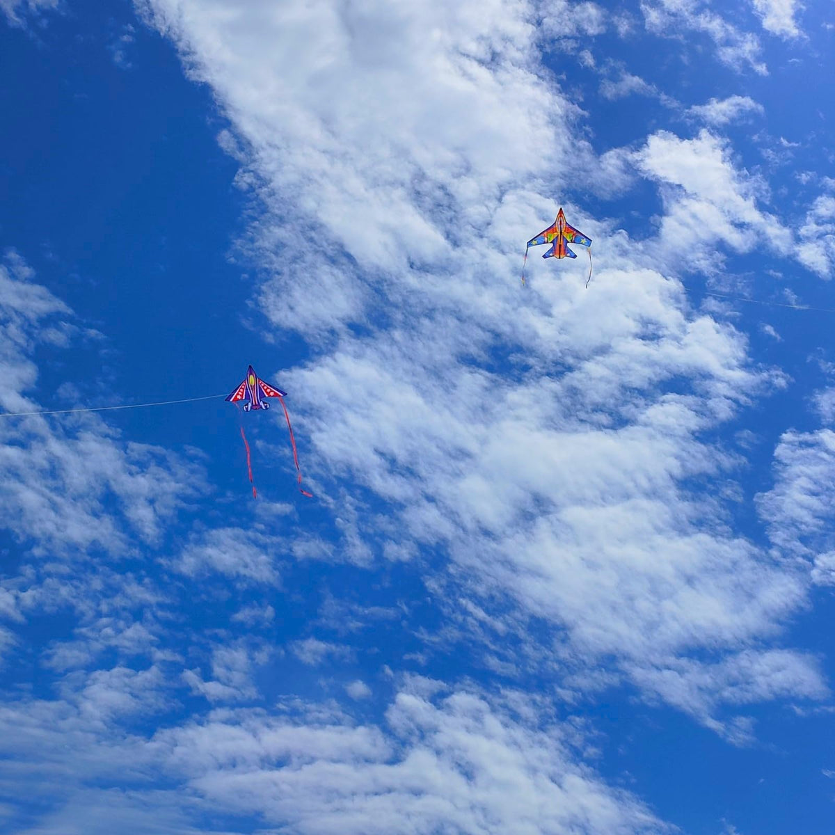 Flying Hoofer kite handle and 300ft string enabling easy launch and steady control.