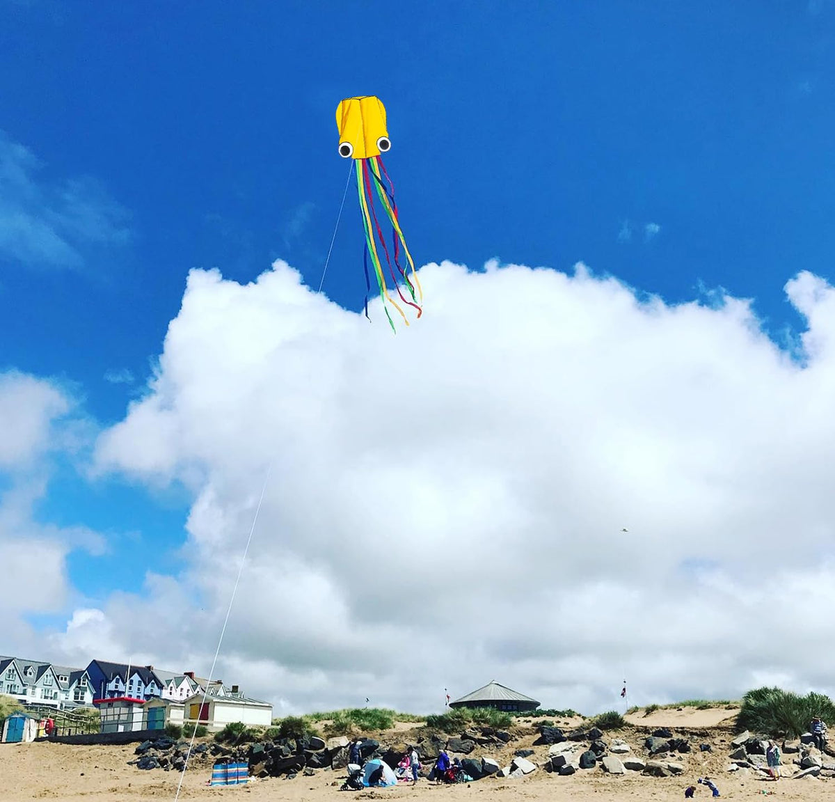 Flying Hoofer large octopus kite made of durable nylon for windy days