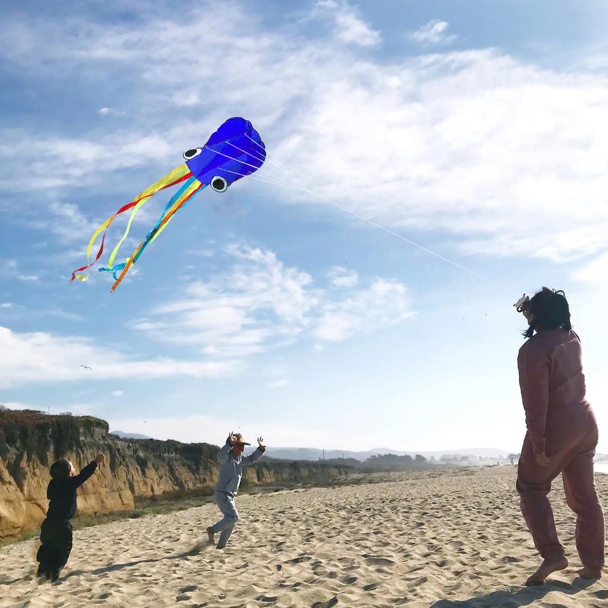 Flying Hoofer 4-pack with long tails and vivid colors for eye-catching displays