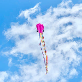 Flying Hoofer octopus kite compact storage fits easily in bag
