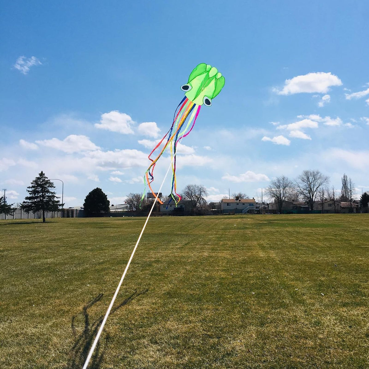 Flying Hoofer octopus kite tentacles flutter in wind for easy handling