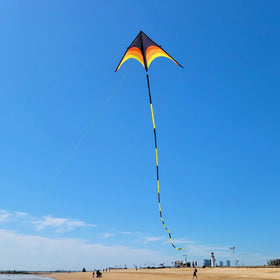 Durable resin kite bar and lines enable reliable assembly and smooth flights.