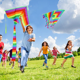Foilswirl butterfly kite ready to launch for kids
