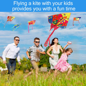 Foilswirl durable nylon kites with vibrant colors lasting use