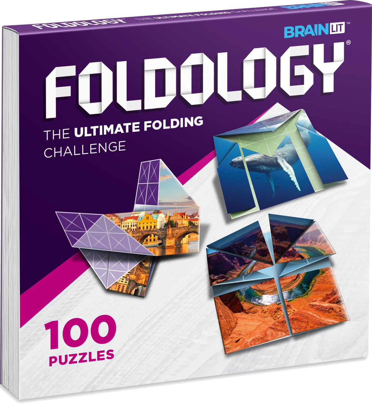 Foldology solve-challenges visual shows satisfying moments when a puzzle clicks