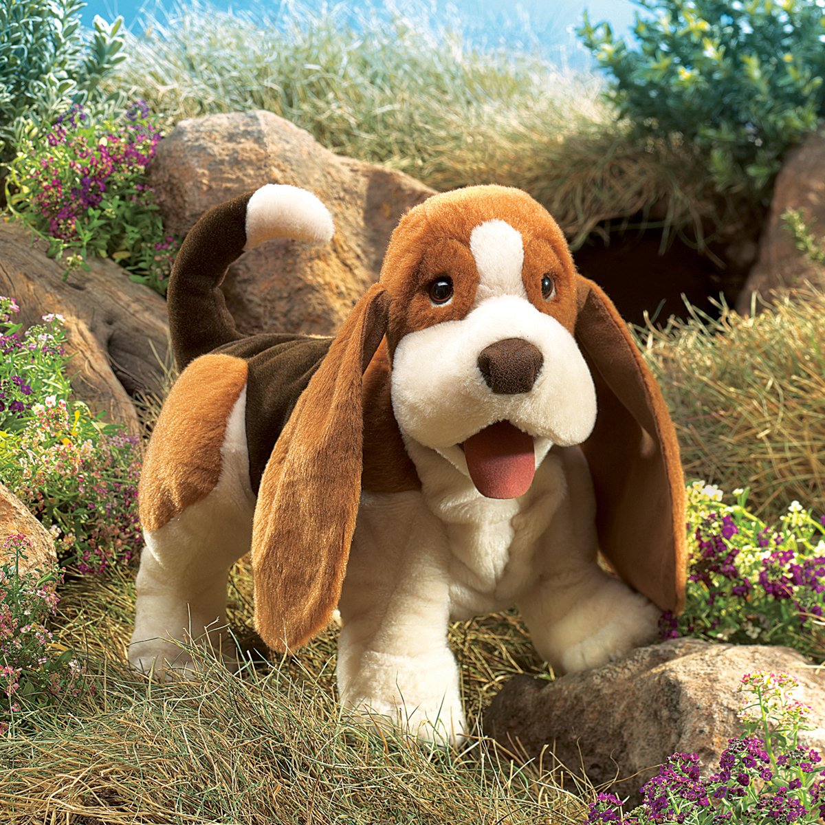 Full-body view of Folkmanis Basset Hound hand puppet ready for play.