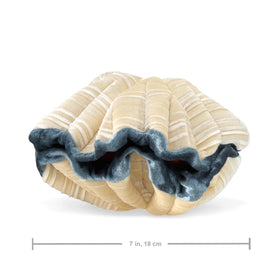 Folkmanis Giant Clam hand puppet in action supports interactive learning.