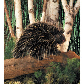 Folkmanis Porcupine Head Detail shows expressive control for classroom puppetry.