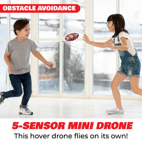 Force1 Scoot durable webbed shell protects hands and furniture during play.