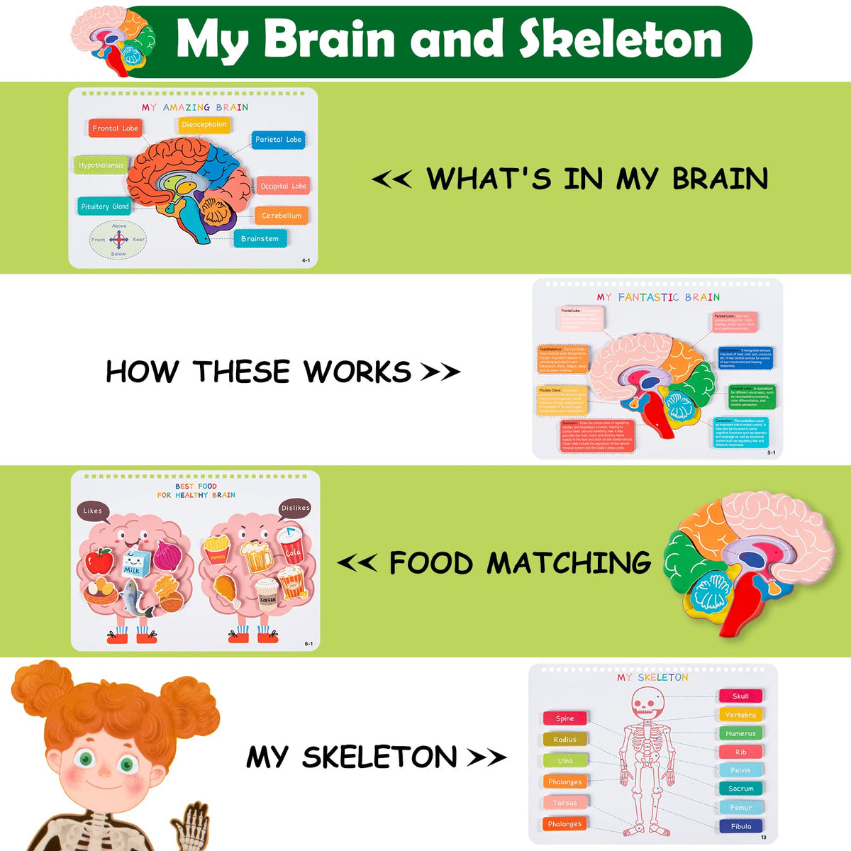 Freebear Montessori Busy Book body parts flaps encourage exploration and vocabulary building.