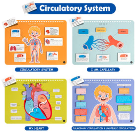 Freebear Busy Book body systems pages for interactive learning