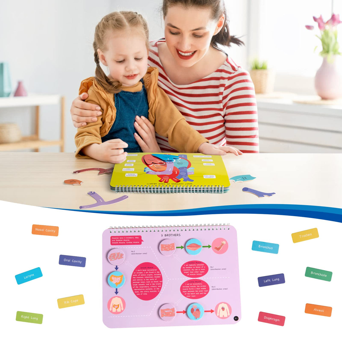 Freebear Busy Book durable pages support repeated learning sessions