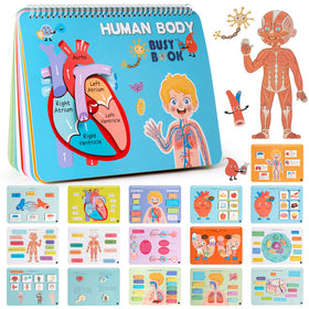 Freebear Montessori Busy Book shows a human body overview for curious kids