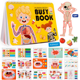 Freebear Montessori Busy Book shows human body pages for tactile body-part learning for kids.